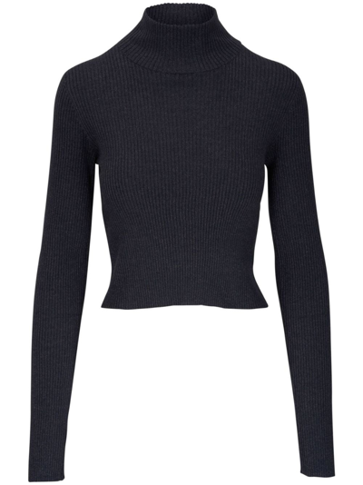 Brunello Cucinelli Fitted Ribbed-knit Top In Blue