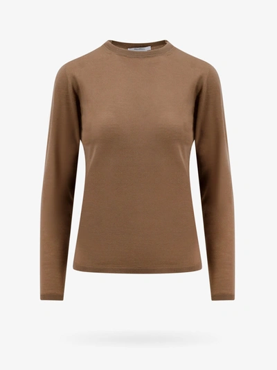 Max Mara Pesco In Brown