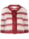 Marni Striped Cropped Cardigan In White+red