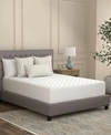 Sealy Flex Charcoal Mattress Protector Collection In White