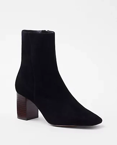 Ann Taylor High Block Heel Suede Booties In Black