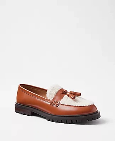 Ann Taylor Shearling Leather Tassel Loafers In Caramel
