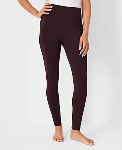 Ann Taylor Essential Leggings In Pure Chocolate