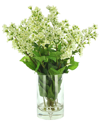 Creative Displays White Bouvardia Floral Arrangement In White
