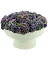 Creative Displays Purple Sedum Arrangement In Ceramic Pedestal Vase In Purple