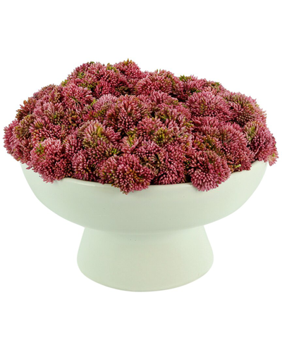 Creative Displays Pink Sedum Arrangement In Ceramic Pedestal Vase