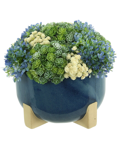 Creative Displays Blue Hydrangea And Succulent Arrangement
