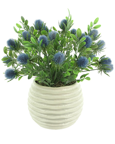 Creative Displays Blue Thistle Arrangement