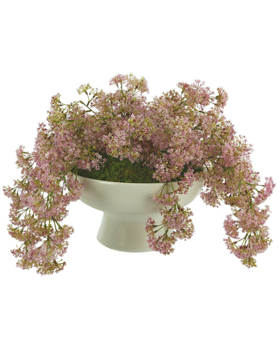 Creative Displays Pink Weeping Laurel Arrangement In Purple