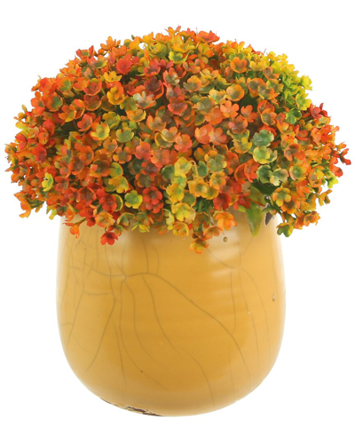 Creative Displays Small Orange & Yellow Floral Arrangement