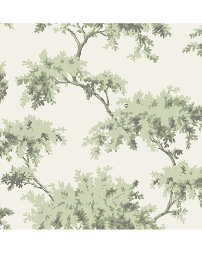 Nuwallpaper Sage Alder Peel & Stick Wallpaper In Green