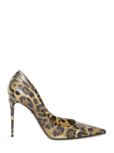 Dolce & Gabbana Leopard Print Pointed In Multi