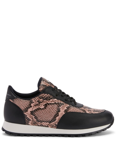 Giuseppe Zanotti Jimi Leather Low-top Sneakers In Multicolour