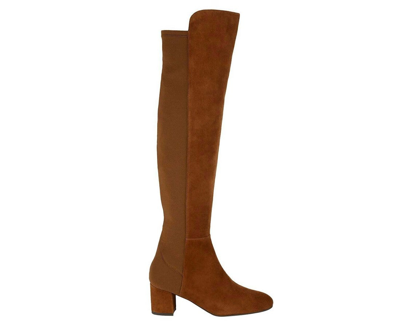 Stuart Weitzman Women's Suede Heel Knee High Boots In Multi