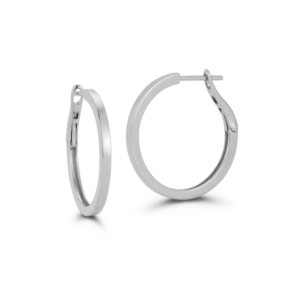 Dana Rebecca Designs Drd Medium Solid Gold Hoops In White Gold