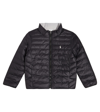 Polo Ralph Lauren Quilted Puffer Jacket In Black
