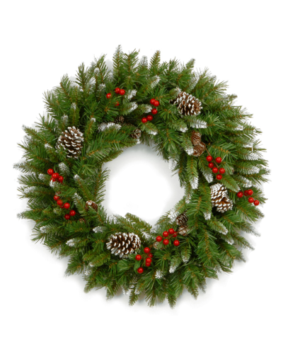 National Tree Company 24in Frosted Berry Wreath
