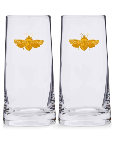 Spode Creatures Of Curiosity Highball Glasses Set, 2 Pieces In Multicolor