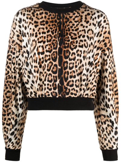 Roberto Cavalli Leopard-print Cropped Sweatshirt In Neutrals