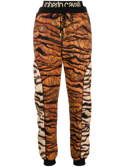 Roberto Cavalli Zebra-print Track Pants In Orange