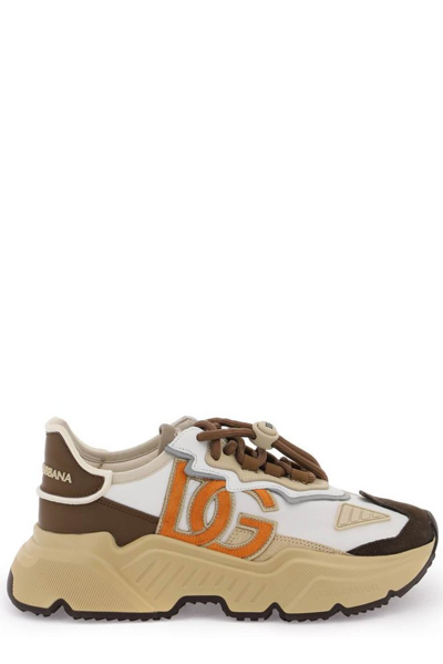 Dolce & Gabbana Daymaster Sneakers In Brown