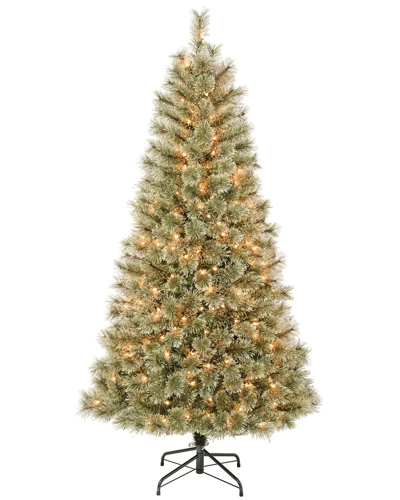 First Traditions 6ft Arcadia Pine Cashmere Tree With 200 Clear Lights In Green
