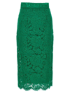 Dolce & Gabbana Corded Lace Midi Skirt In Green