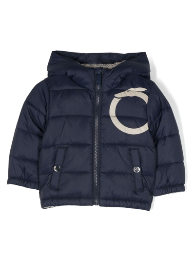 Trussardi Junior Babies' Logo-print Padded Hooded Jacket In Blue