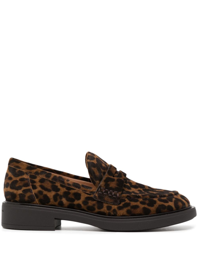 Gianvito Rossi Suede Flat Penny Loafers In Leopard