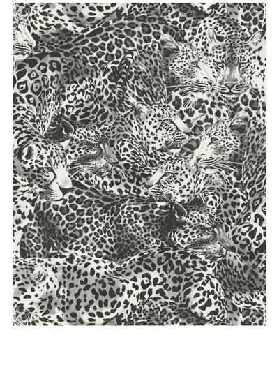 Dolce & Gabbana Leopard-print Wallpaper In Black