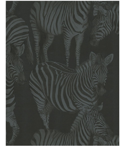 Dolce & Gabbana Zebra-print Wallpaper In Black