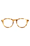 Aqs Albie 50mm Round Optical Frames In Brown