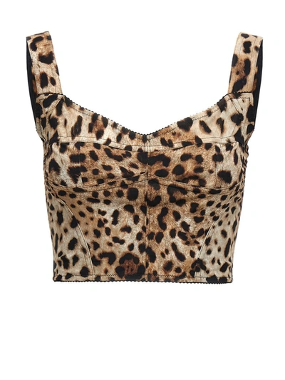 Dolce & Gabbana Cropped-oberteil Mit Leoparden-print In Brown