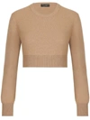 Dolce & Gabbana Cashmere And Wool Cropped Knit Crewneck In Nude &amp; Neutrals