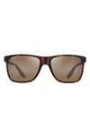 Maui Jim Pailolo Mj H603-10 Wayfarer Polarized Sunglasses In Matte Tortoise
