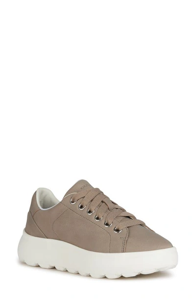 Geox Spherica Sneaker In Sand