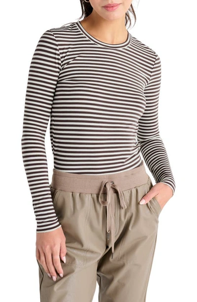 Splendid Stripe Long Sleeve T-shirt In Oat H/ Chocolate