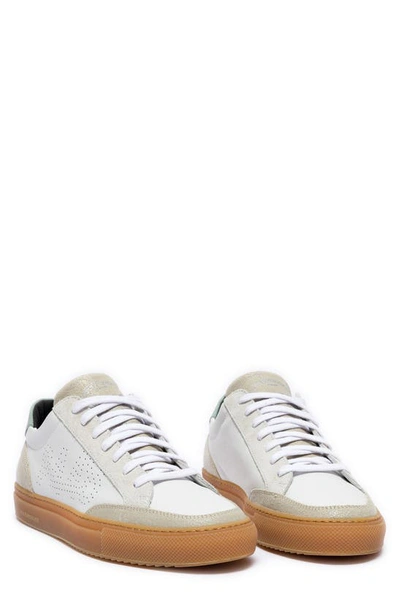 P448 Soho Sneaker In White