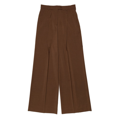 Sportmax Oversized Stretch Trousers In Brown