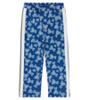 Palm Angels Blue Track Pants With All-over Paisley Teddy Bear Print In Cotton Blend Boy In Blue