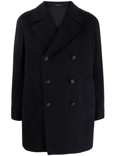 Tagliatore Coats Blue In Black