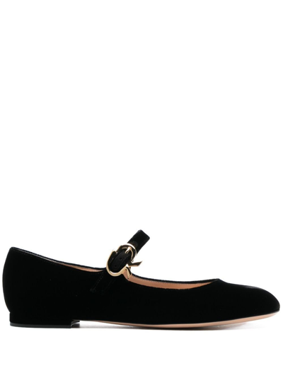 Gianvito Rossi Black Mary Velvet Ballerina Shoes