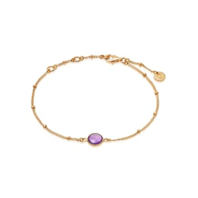 Daisy London Gold Amethyst Healing Stone Bracelet