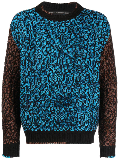 Andersson Bell Intarsia-knit Crew-neck Sweatshirt In Multicolor