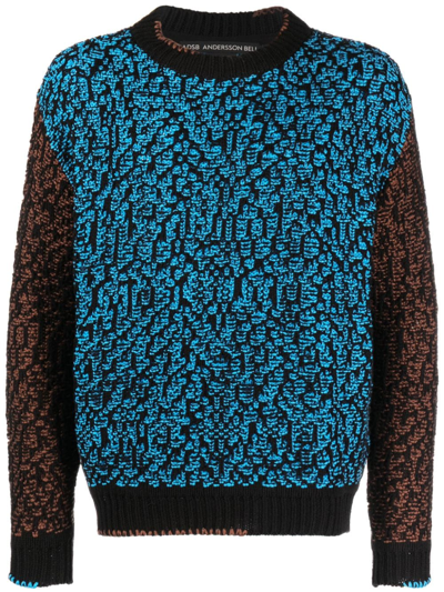 Andersson Bell Intarsia-knit Crew-neck Sweatshirt In Multi