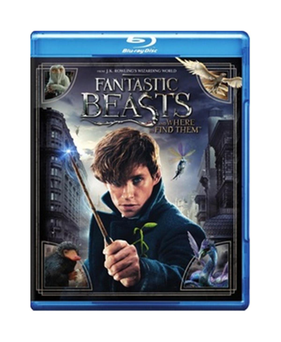 Warner Bros Warner Home Video Fantastic Beasts & Where To Find Them Dvd In White