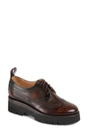 The Office Of Angela Scott Miss Lucy Wingtip Platform Derby In Brown Multi