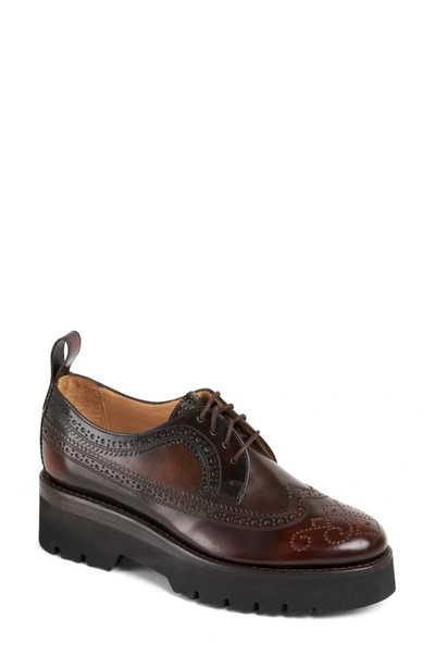 The Office Of Angela Scott Miss Lucy Wingtip Platform Derby In Brown Multi