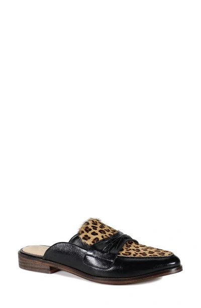 Diba True Au Pair Mule In Black/ Leopard