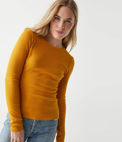 Michael Stars Zola Ribbed Tee In Dark Turmeric
